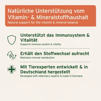 Preview: MultiVETAL Pulver - natürliches Vitaminpulver - 100 g